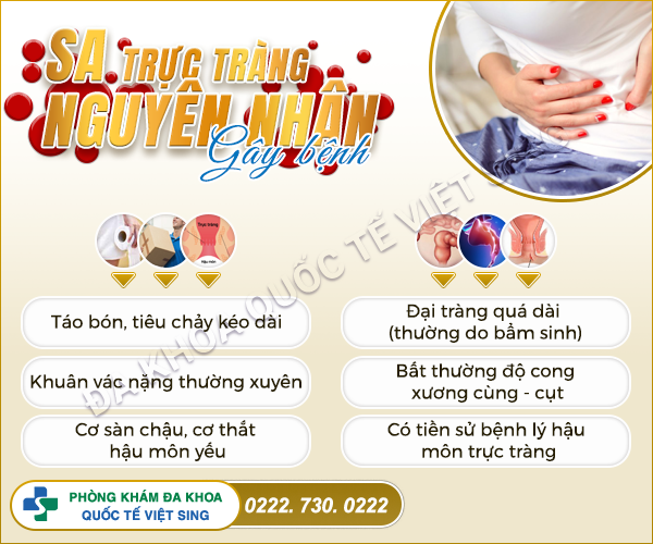 Y học đã chỉ ra 3 nguyên nhân phổ biến gây sa trực tràng